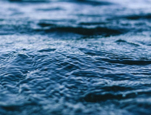 Blue Ocean Waves