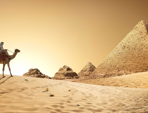 Desert Treasure Hunt